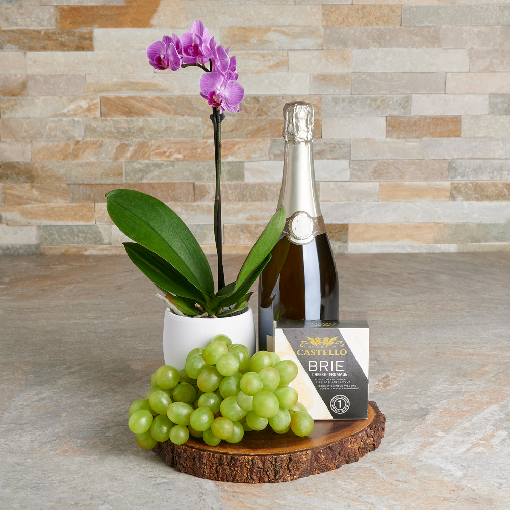 10 Gift Ideas for the Work from Home Mom - Brie Brie Blooms