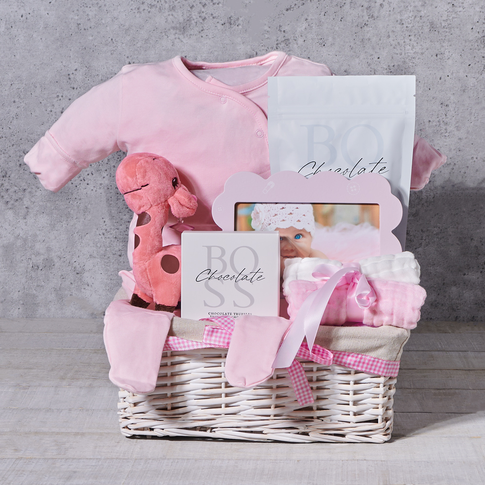 Very Cute Baby Girl Gift Basket