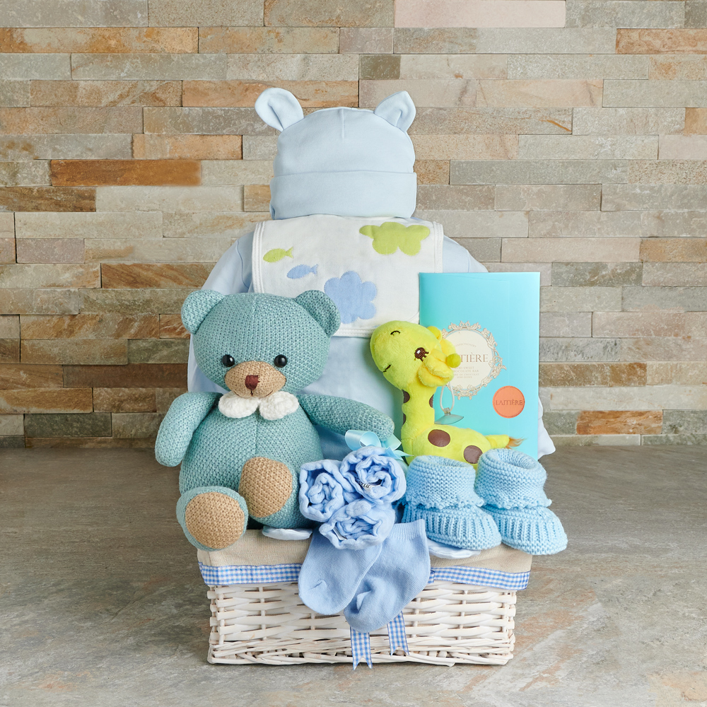 Fun with Toys Baby Boy Gift