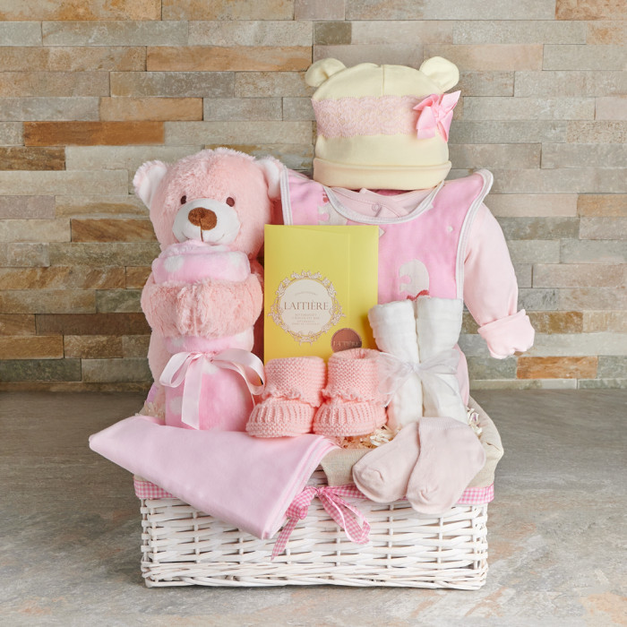 baby girl gift basket pink baby girl gift baby set basket welcome gift  shower | eBay