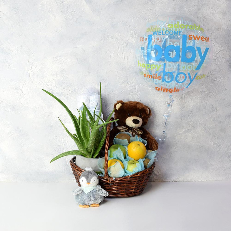 Joyful Baby Boy Gift Basket HAZELTON'S USA