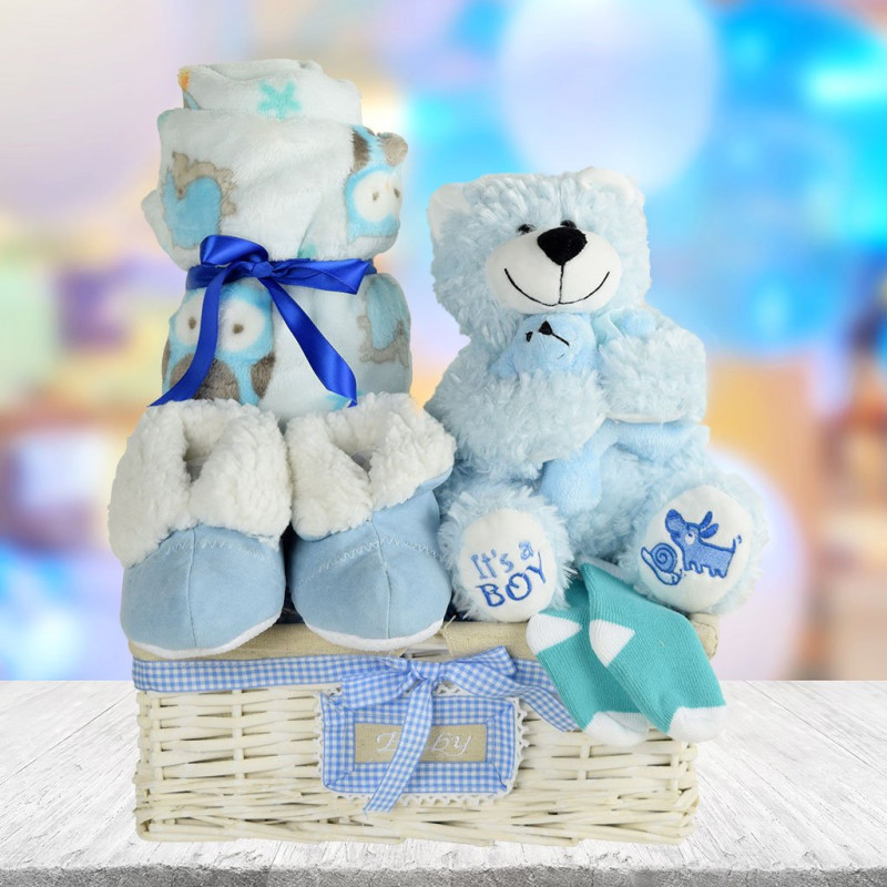 A Basket for a Baby Boy HAZELTON'S USA
