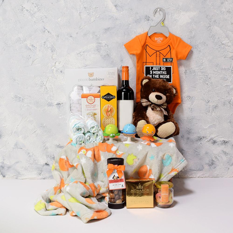 Deluxe Baby Bear Gift Basket HAZELTON'S USA