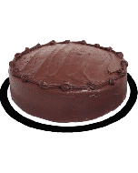 Chocolate Fudge Single Layer Cake