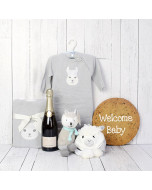 Celebrations & Welcome Baby Cookie Unisex Gift Set