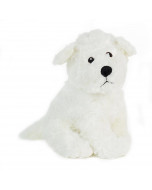 White Bichon Frise