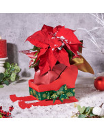 Festive Poinsettia Sleigh, christmas gift, christmas, holiday gift, holiday, plant gift, plant