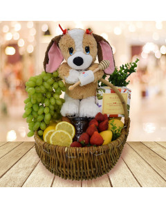 "Get Well Puppy" Fruit Basket