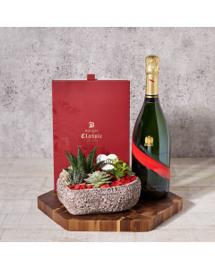 Valentine’s Day Champagne & Planter, Valentine's Day gifts, sparkling wine gifts, plants gifts