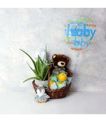 Joyful Baby Boy Gift Basket