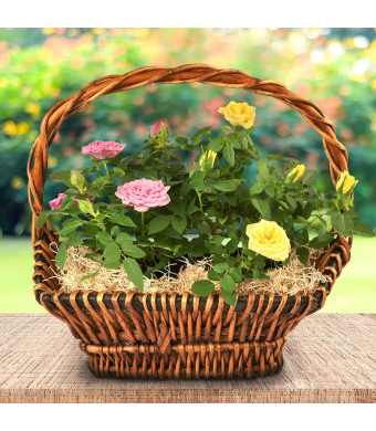 Miniature Rose Basket