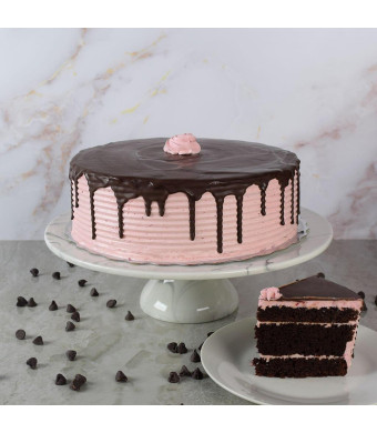 Large Chocolate Raspberry Cake