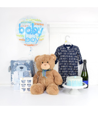 Little Baby Boy Celebration Gift Basket