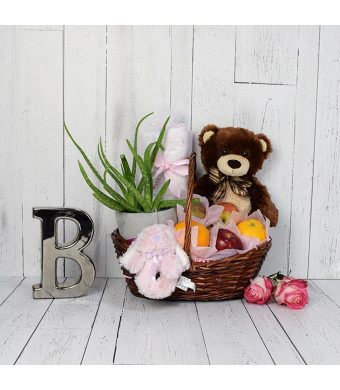 Teddy Bear & Blankets Baby Gift Set