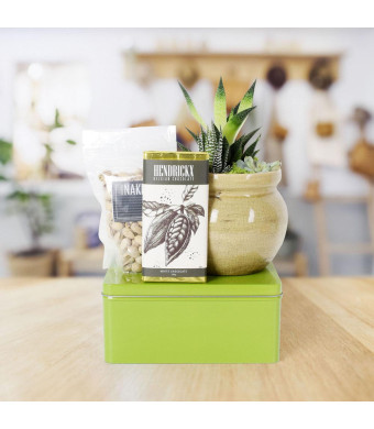 Gourmet & Green Gift Basket