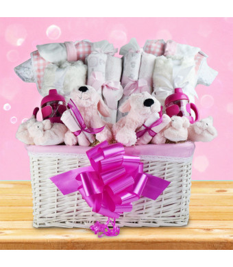 You're Having Twin Girls! Gift Basket