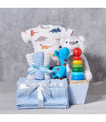 The Baby Boy Little Dinosaur Gift Set