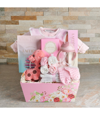 The New Arrival Baby Girl Baby Basket