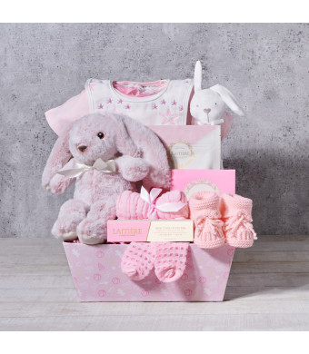 The Pink Bunny Baby Girl Gift Basket