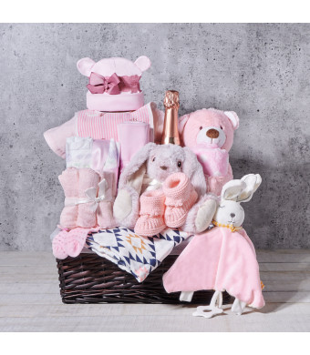 New Baby Girl Bubbly Welcoming Gift Basket