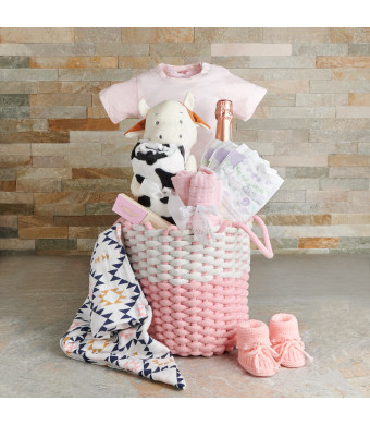 Soft & Sweet Baby Girl Gift Basket