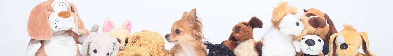 Plush Animals