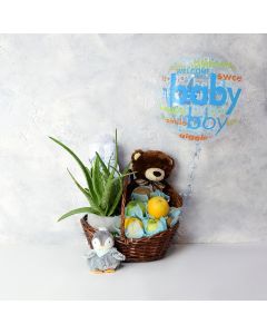 Joyful Baby Boy Gift Basket