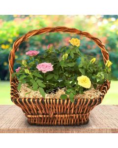 Miniature Rose Basket