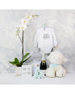 ADORABLE SHEEP BABY GIFT SET WITH CHAMPAGNE