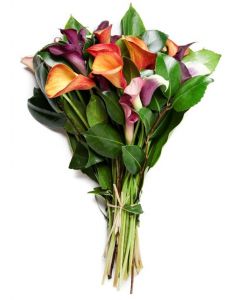 Cool Elegance Calla Lily Bouquet