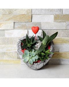 Heart Shaped Succulent Rock Garden