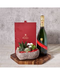 Valentine’s Day Champagne & Planter, Valentine's Day gifts, sparkling wine gifts, plants gifts