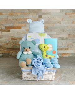 Fun with Toys Baby Boy Gift