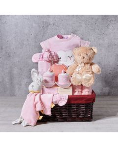 Entertaining Baby Girl Gift Basket