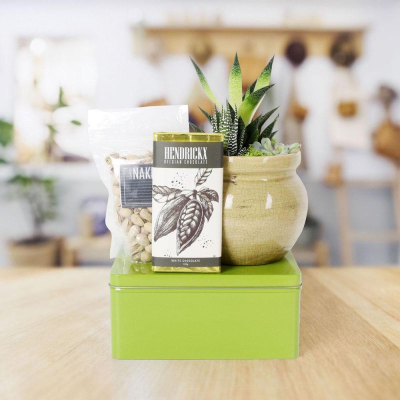 Gourmet & Green Gift Basket HAZELTON'S USA