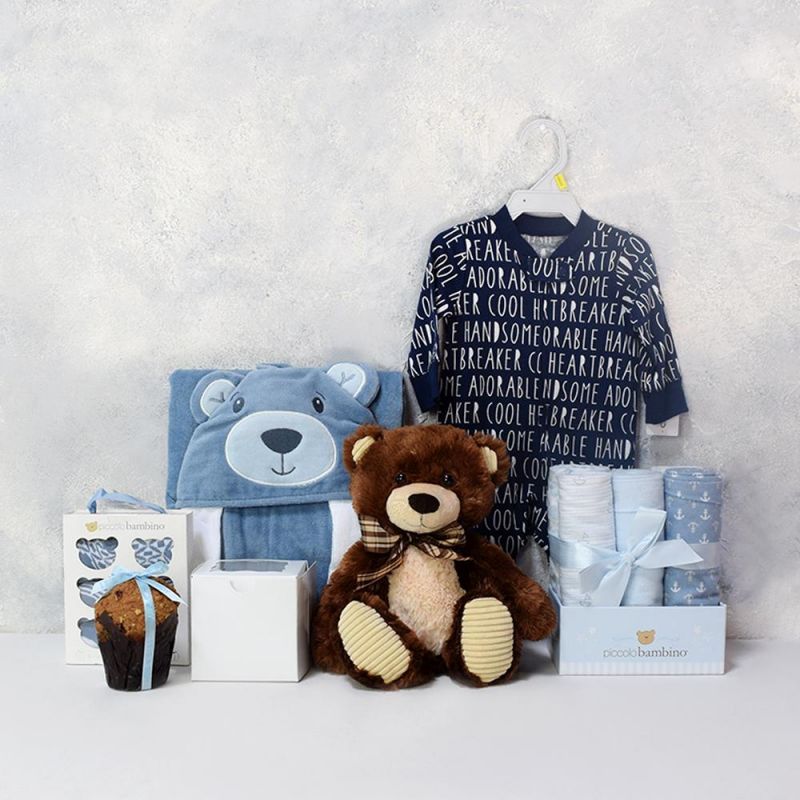 Adorable Baby Boy Gift Basket HAZELTON'S USA