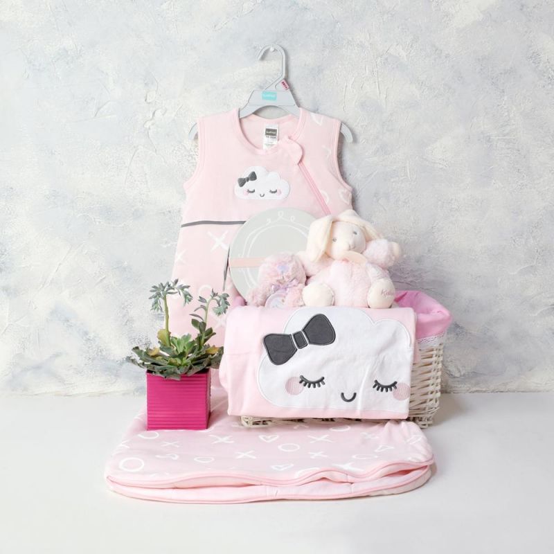 A LITTLE LOVE BABY GIRL GIFT BASKET HAZELTON'S USA