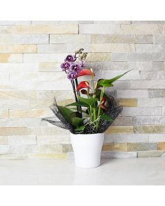 Exquisite Orchid & Anthurium Arrangement