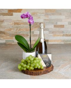 Blooming Orchid & Champagne Gift
