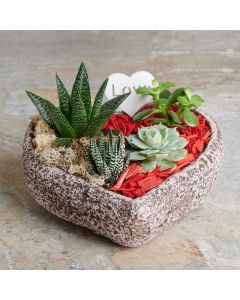 Succulent Heart-Shaped Planter, Valentine's Day gifts, floral gifts